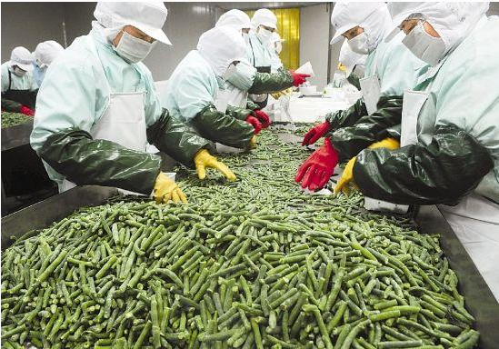 箱式冷凍機(jī)中冷凍油的4大核心作用